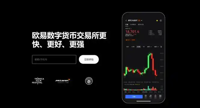 欧意下载平台展示图